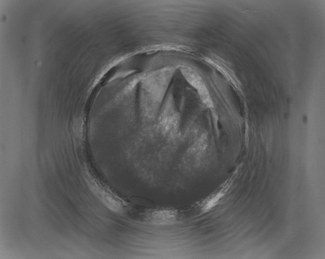X0000081440156200702021726