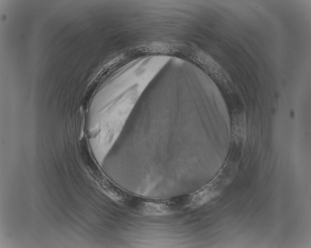 X0000081440167200702021726