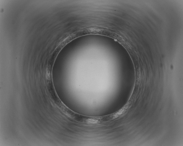 X0000081440176200702021726