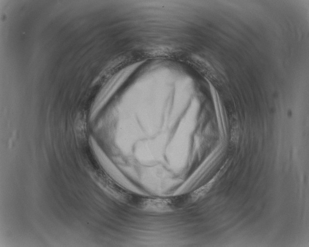 X0000081440179200702021726