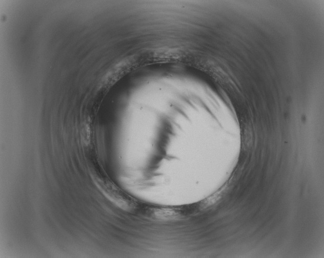 X0000081440183200702021726