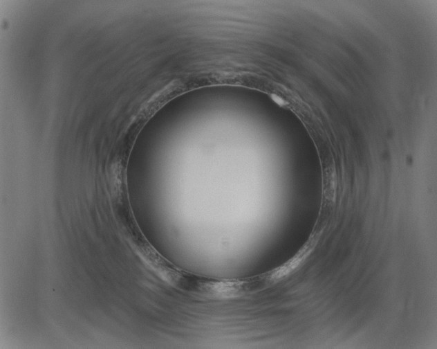 X0000081440184200702021726