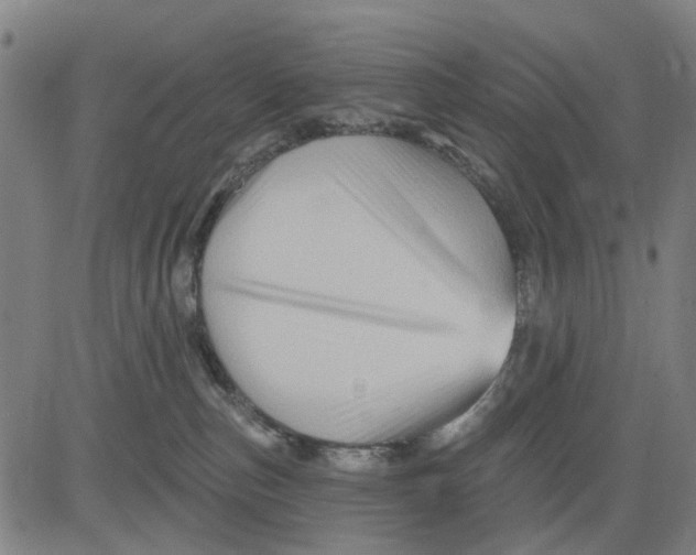 X0000081440187200702021726