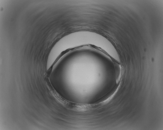 X0000081440190200702021726
