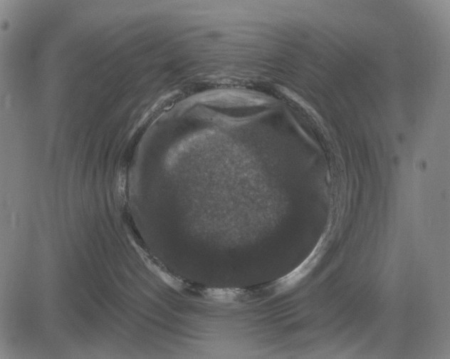X0000081440192200702021726