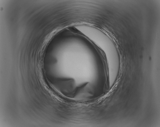 X0000081440193200702021726