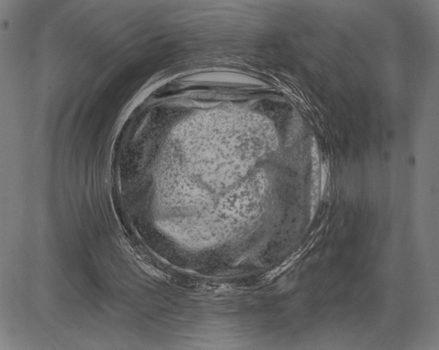 X0000081440195200702021726