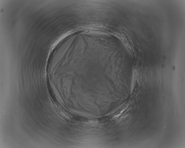 X0000081440196200702021726