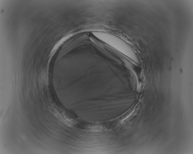 X0000081440200200702021726