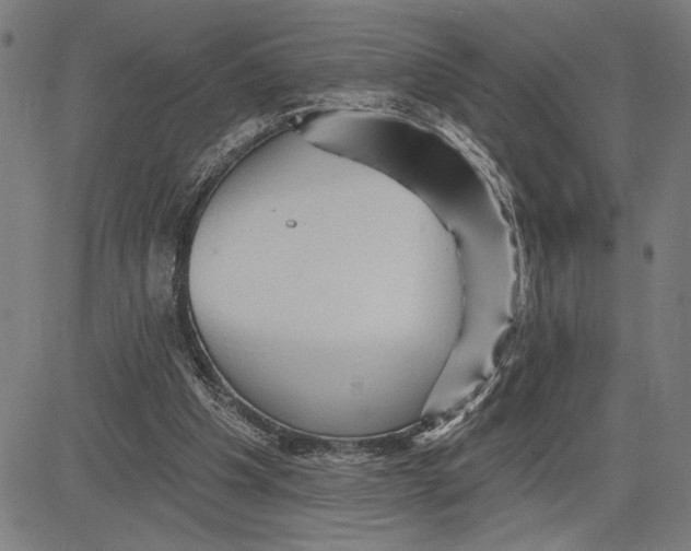 X0000081440201200702021726