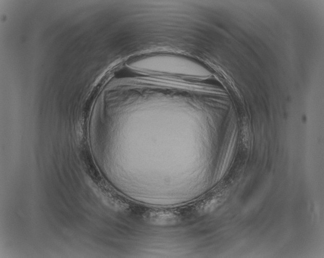 X0000081440208200702021725