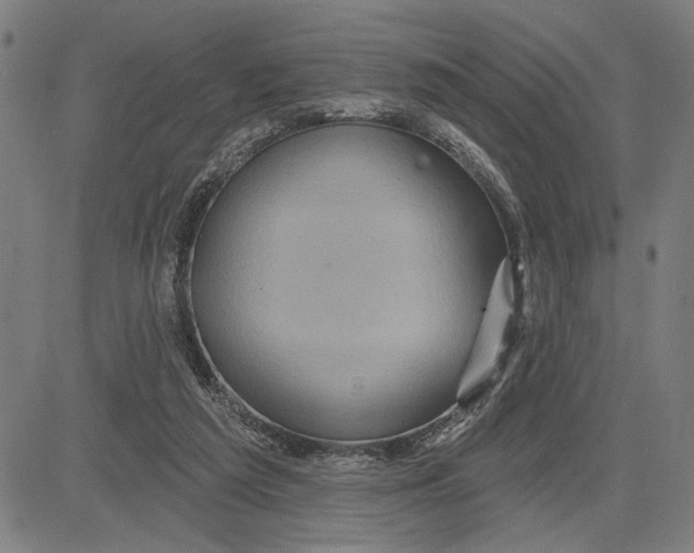 X0000081440209200702021725