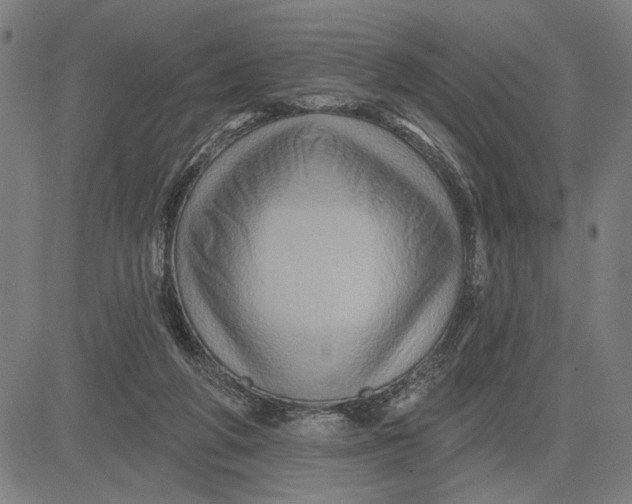 X0000081440210200702021725