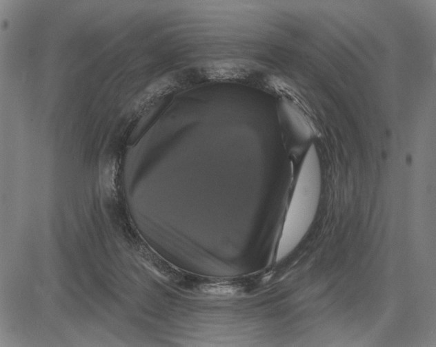 X0000081440219200702021725