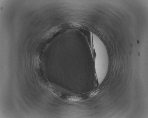 X0000081440223200702021725