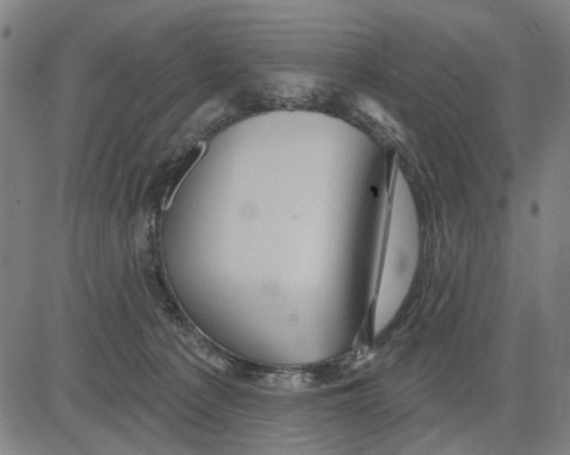 X0000081440225200702021725