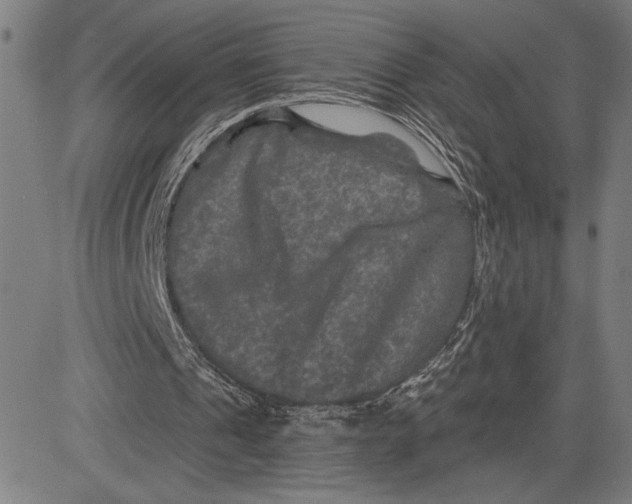 X0000081440241200702021724