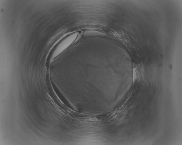 X0000081440243200702021724