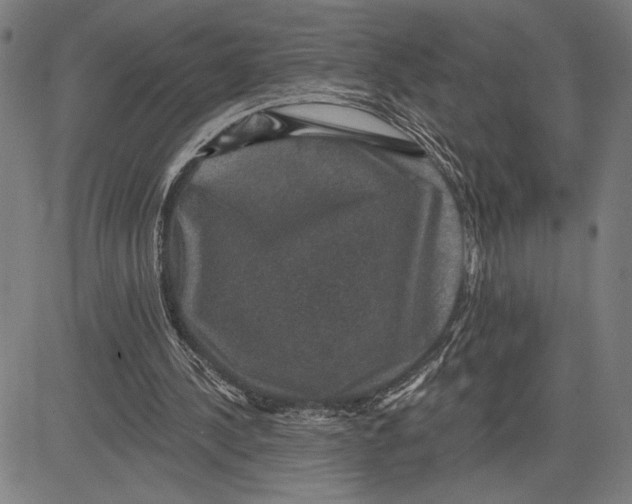X0000081440244200702021724