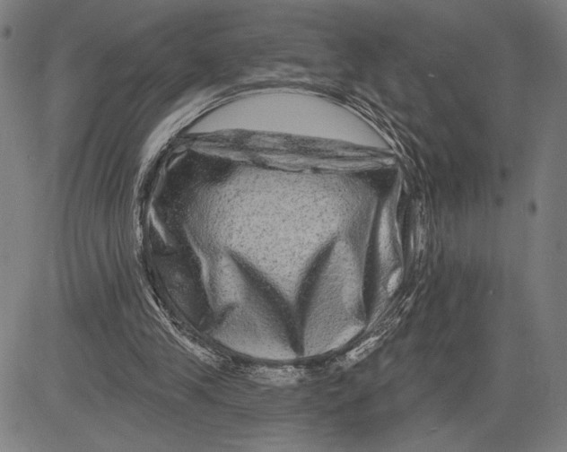 X0000081440245200702021724