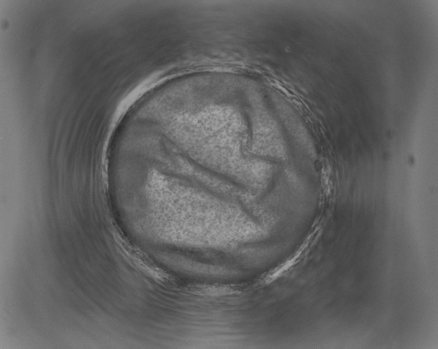 X0000081440246200702021724