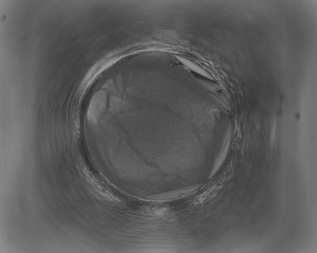 X0000081440247200702021724