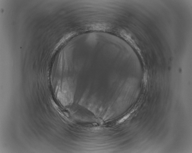 X0000081440249200702021724