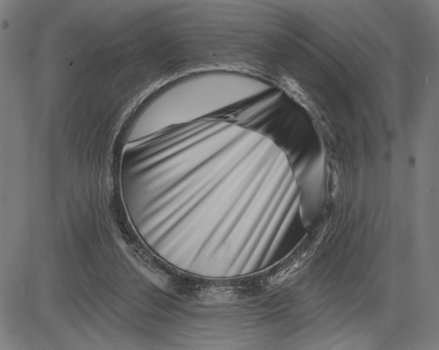 X0000081440252200702021724