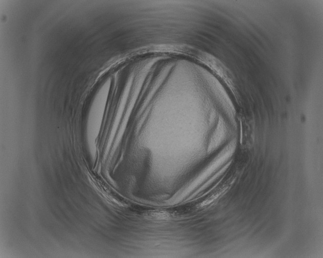 X0000081440253200702021724