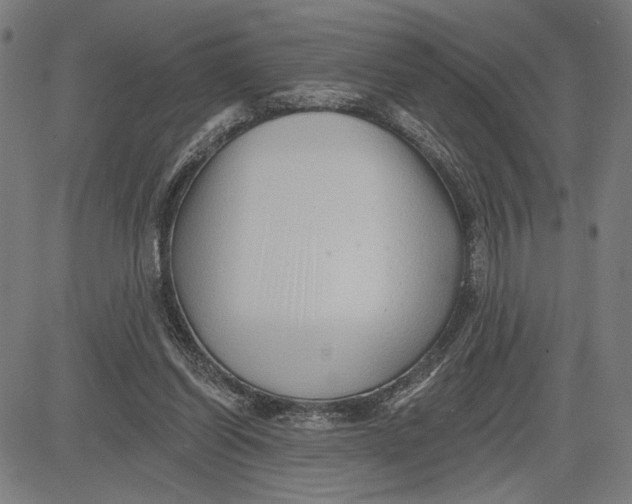 X0000081440254200702021724