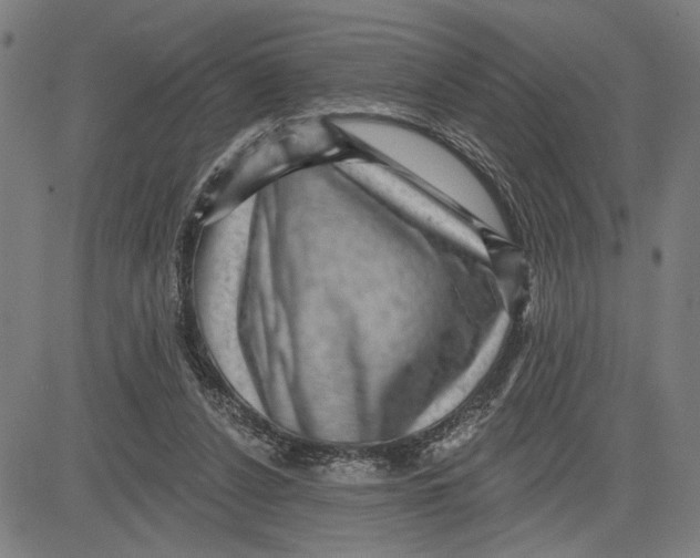 X0000081440256200702021724
