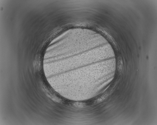 X0000081440261200702021724