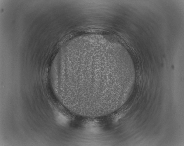 X0000081440263200702021724
