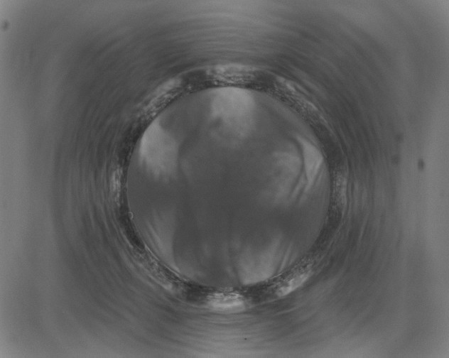 X0000081440271200702021725