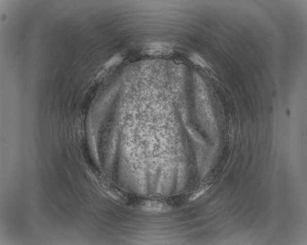 X0000081440272200702021725