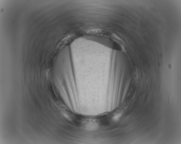 X0000081440276200702021725