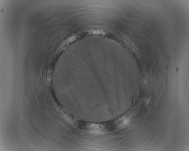 X0000081440277200702021725