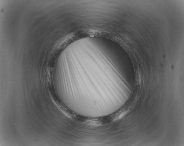 X0000081440280200702021725
