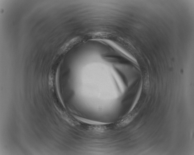 X0000081440282200702021725