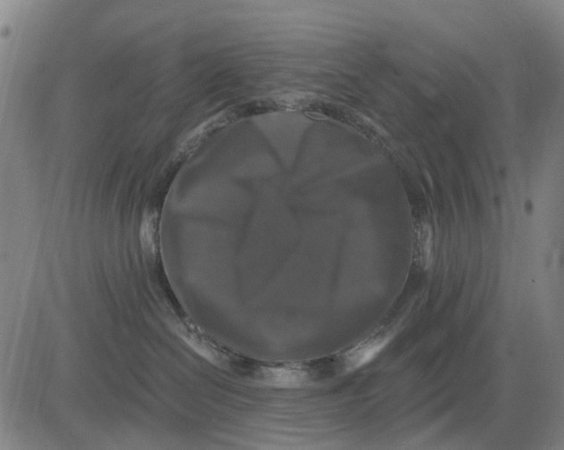 X0000081440286200702021725