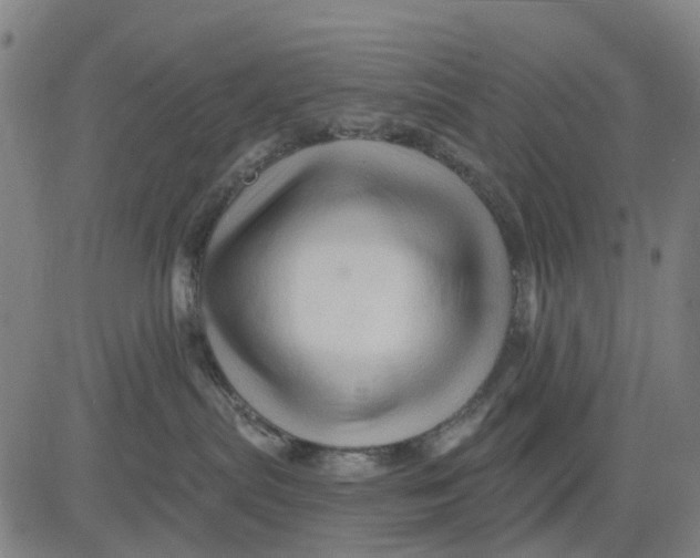 X0000081440287200702021725