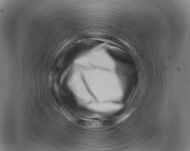 X0000081440288200702021725
