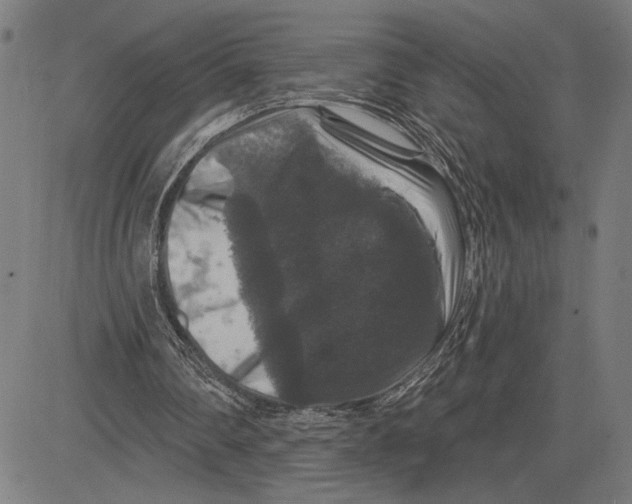 X0000081440290200702021724