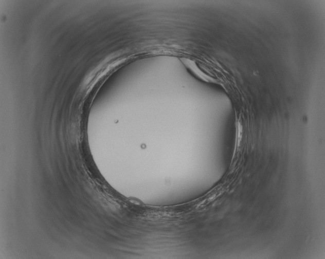 X0000081440291200702021724