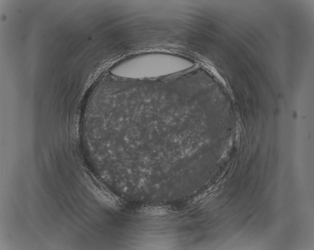 X0000081440299200702021724