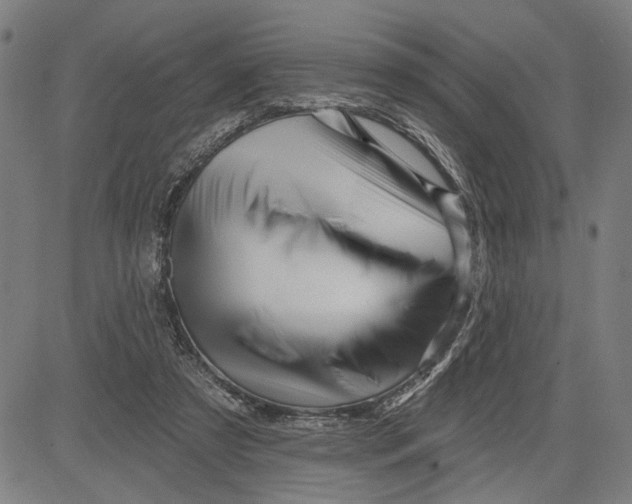 X0000081440305200702021724