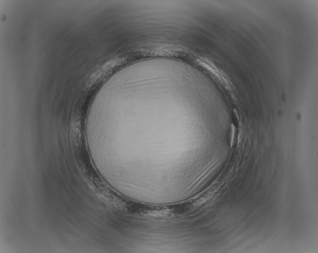 X0000081440306200702021724