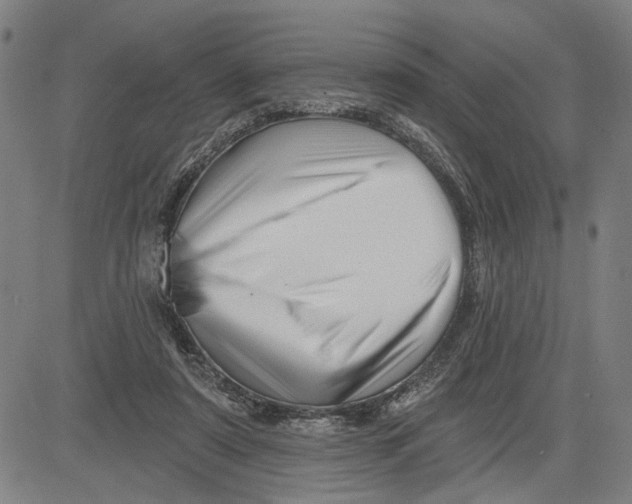 X0000081440307200702021724