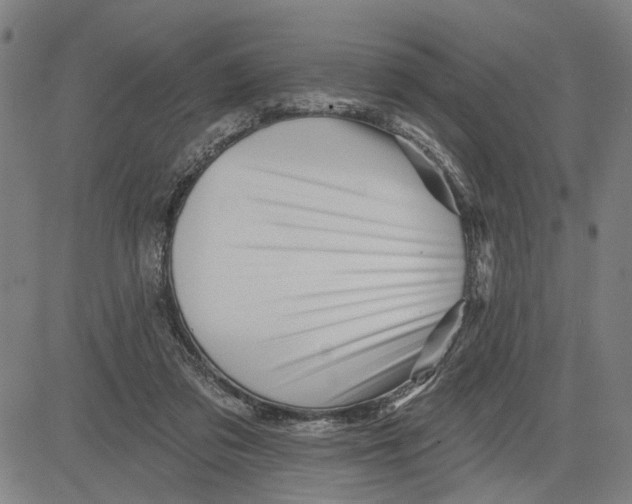 X0000081440309200702021724