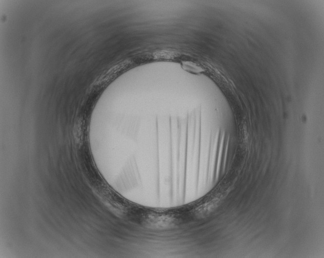 X0000081440311200702021724